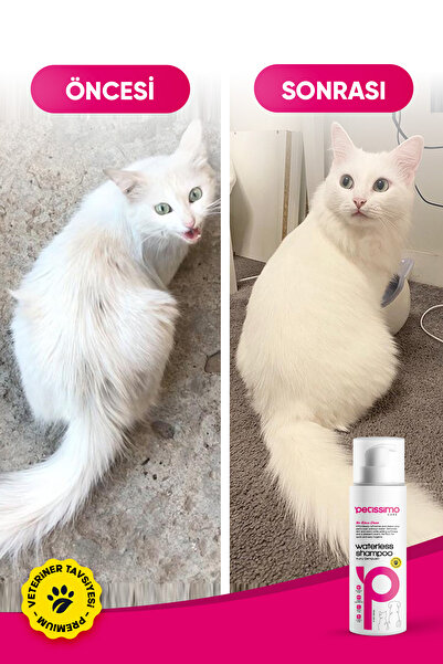 Petissimo Care Kuru Kedi Şampuanı - Bit Pire Kene Ve Parazit Önleyici - Tüy Dökülmesi Karşıtı - 200 ml