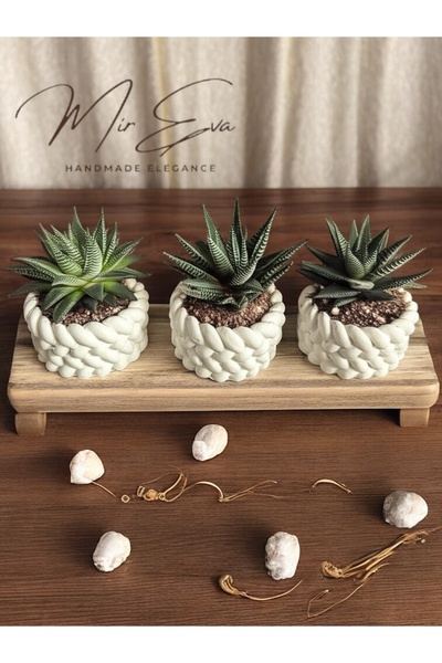 MİREVA Estevia 3'lü Dekoratif Örgü Tasarım Taş Tozu Mini Saksı - Boş Sukulent Saksısı