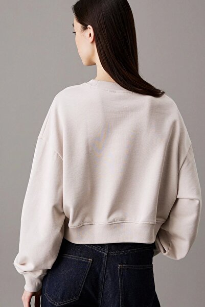 Calvin Klein SCRIPT INSTITUTIONAL CREWNECK Kadın Sweatshirt J20J224743-PDH