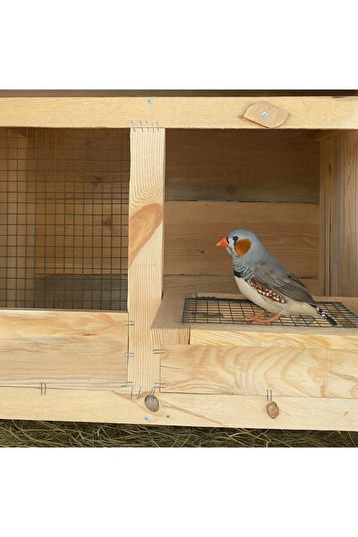 KARAYİĞİT AHŞAP MOBİLYA DEKORASYON Karayiğit Doğal Ahşap Kuş Yuvası Kafes Çeşitleri Güvercin Kümesi