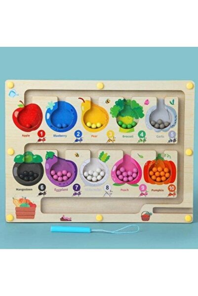 F.A.M.S Fine Motor Skills Learning Wooden Toys, Magnetic Color and Number Mat...