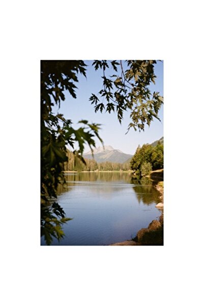 OEM Tablou Canvas, 'Lacul linistit sub frunzis umbros', Lac, Munte, Padure, C...