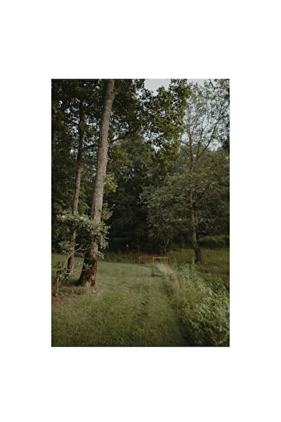 OEM Pictură pe pânză, „Cărările liniștite ale pădurii verzi”, Copaci, Iarbă, ...