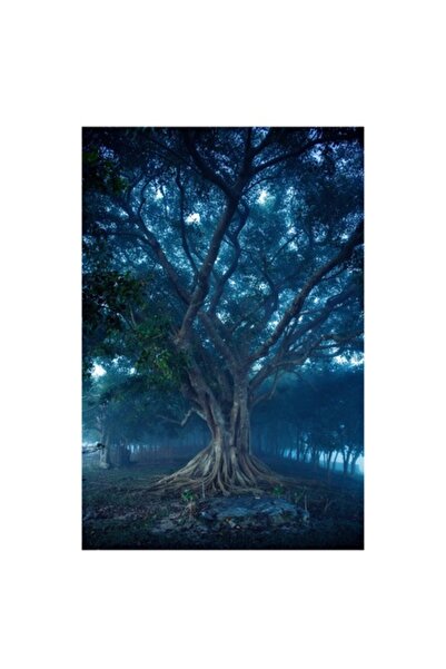 OEM Tablou Canvas, "Copac mistic in ceata diminetii", Premium, Natura, 39 x 54cm