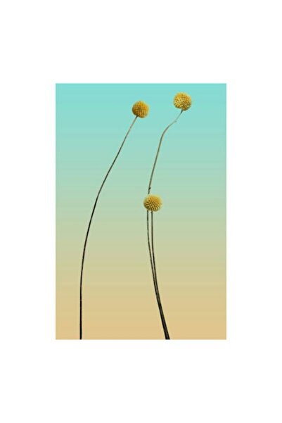 OEM Tablou Canvas, "Dansul florilor sub cer senin", Elegant, Minimalist, Sere...