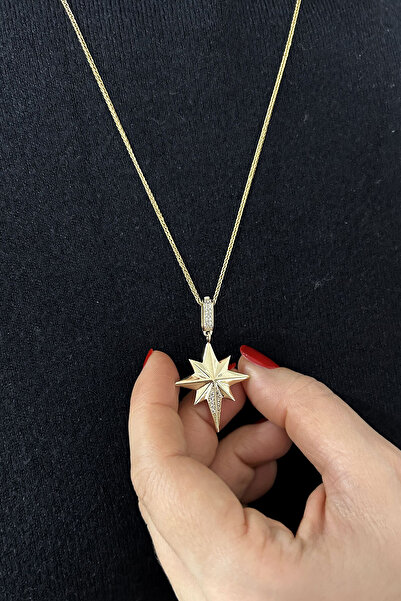 Aslı Gold Kuzey Yıldızı Altın Klipsli Halka Kolye