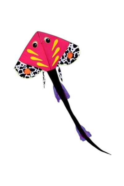 Toybox Easy Flying Outdoor Sport Long Tail Fish Kite for Kids Cartoon Kites Children's Flying Toys