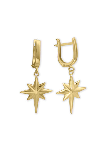 Aslı Gold Kuzey Yıldızı Altın Küpe (KP1009)