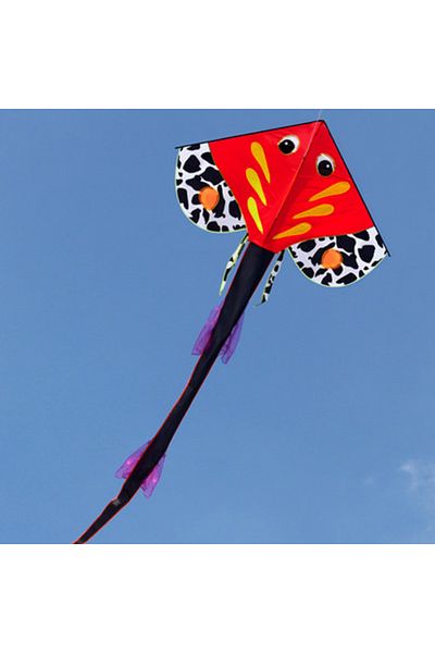 Toybox Easy Flying Outdoor Sport Long Tail Fish Kite for Kids Cartoon Kites Children's Flying Toys