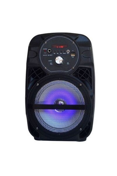 Ailiang Lige-a66 Portable Speaker, 6 Inch Speaker, FM Radio, Card Reader, USB, Remote Control