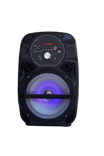 Lige Portable Speaker, With Bluetooth, Usb, Tf Card, Digital Display, Remote Control And Wired Microphone