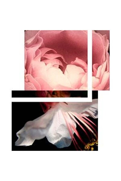 Le Couvent Des Minimes Eau de cologne Le Couvent Des Minimes Botaniques Aqua Paradisi, 200 ml