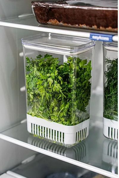 Tanemce 1 Piece 2900 ml Greenery Storage Container |   Vegetable Storage & Refrigerator Freshener Organizer Box