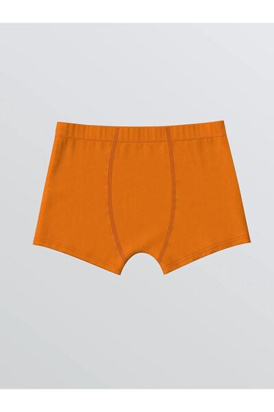 LC Waikiki LCW Kids Baskılı Erkek Çocuk Boxer 3'lü (W5)
