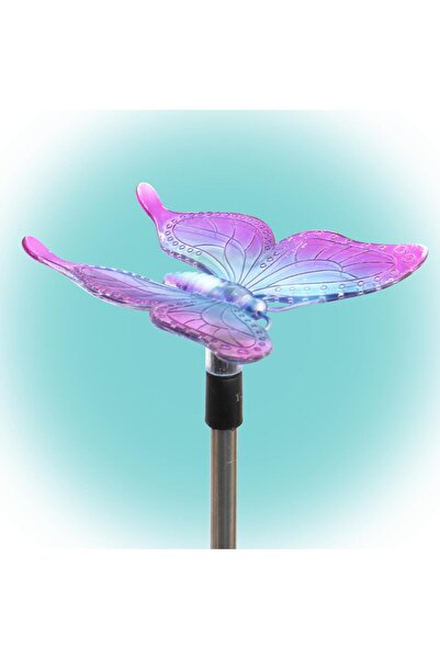 Home Decorațiuni solare pentru grădină