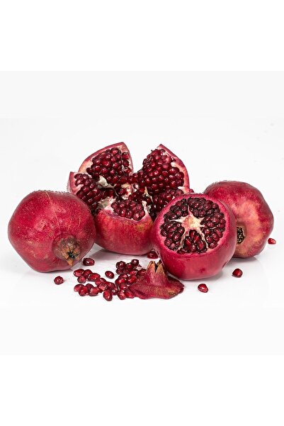 ASES 4 YAŞ TÜPLÜ,MEYVE VEREN İÇİ DIŞI HİCAZ NAR FİDANI BOY 170-200 CM