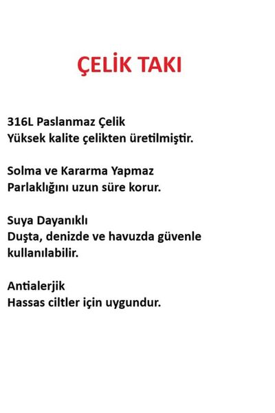 Sentez Çelik Küpe Set