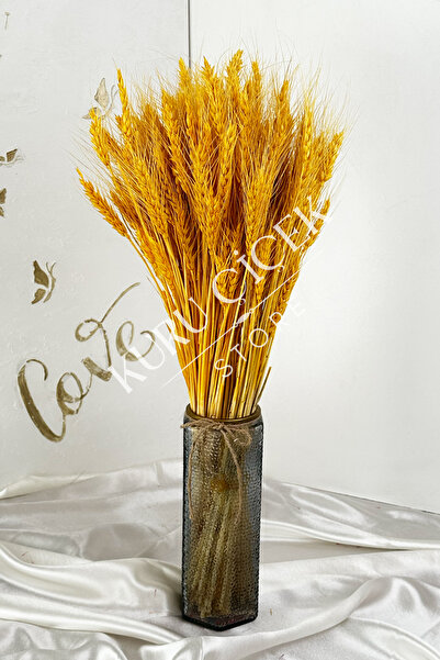 Natural Dried Wheat Spike Bundle (30 Pieces)