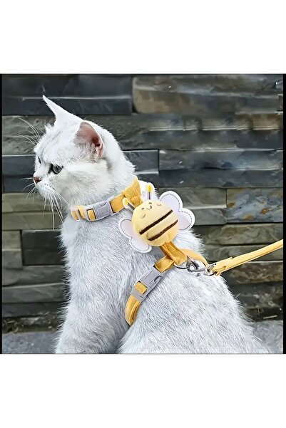 Payidar Hediyelik AYARLANABİLİR KEDİ/KÖPEK TASMASI SET KELEBEKLİ MODEL (2 PARÇA) Basit ve Konforlu Kullanım