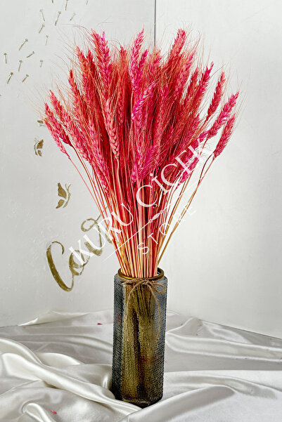 Natural Dried Wheat Spike Bundle (30 POWDERED)