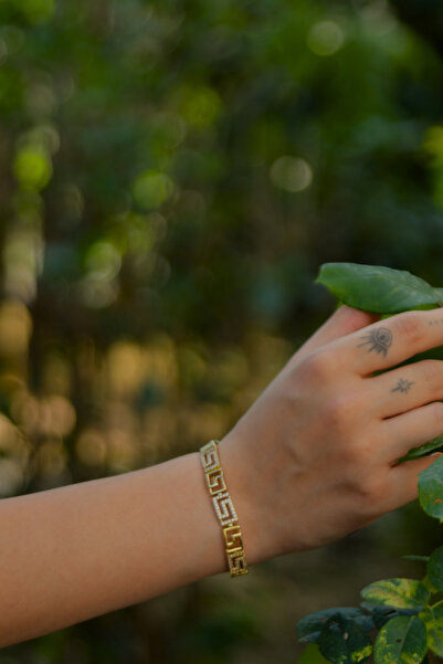 signoraerica XP Altın Kaplama Zirkon Taşlı Labirent Model Kadın Çelik Görünüm...