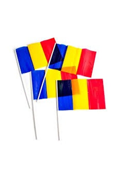 Bibilel Set de 10 steaguri tricolore de mână 20 x 30 cm