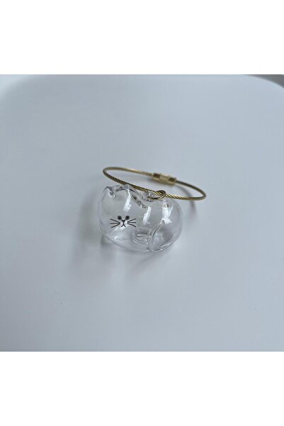 Vira Rise صندوق تخزين شعر القطط الشفاف وحقيبة، كبسولة متينة لسلسلة المفاتيح