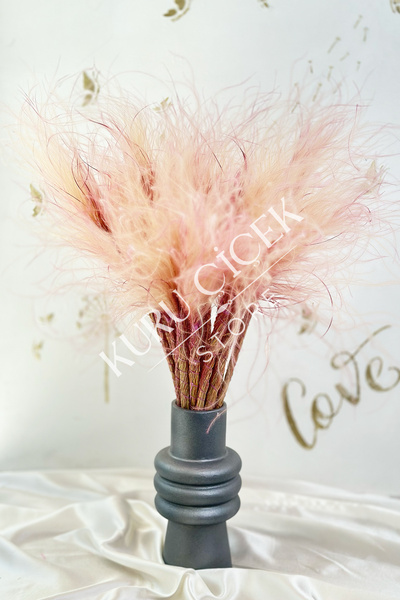 Natural Dried Stipa, Ponytail, Ostrich, Dried Flower