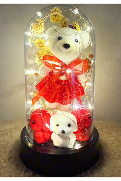 Linalux Gifts Kız Arkadaşa Hediye Işıklı Fanus İçinde Elbiseli Ayıcık ve Mini...