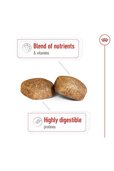 Royal Canin Giant Adult للسلالات ضخمة الحجم من وزن 45كجم وعمر 18-24 شهر 4kg
