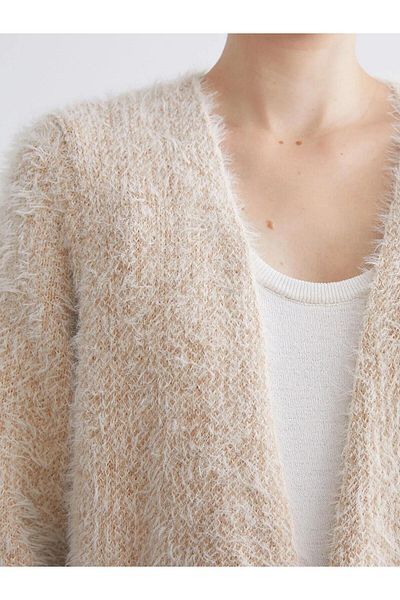 LC Waikiki LCWAIKIKI Cardigan de tricotaj pentru femei cu guler șal clasic cu blocuri de culoare (W5)