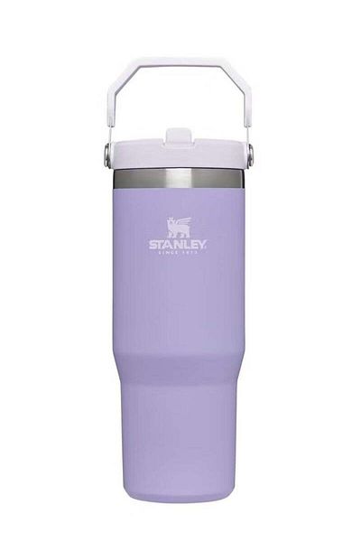 Stanley IceFlow 30 oz Stainless Steel Tumbler with Leak-Resistant Flip Straw