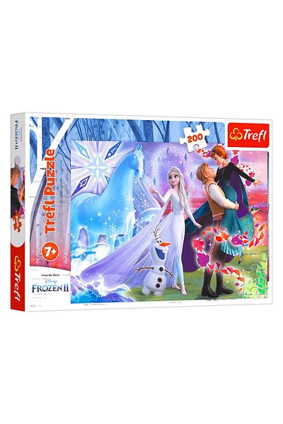 Banadabak Puzzle 13265 Frozen 2 200 Pieces 7+