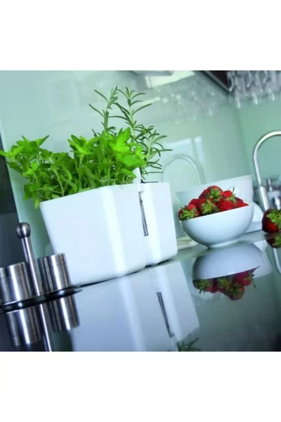 Prosperplast Decorative Flower Pot, Double, White, 2.5 L, 24.4 x 11 x 12 cm, Twins Cube