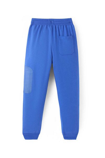 Pine kids Cotton Knit Full Length Text Printed Lounge Pants - Blue