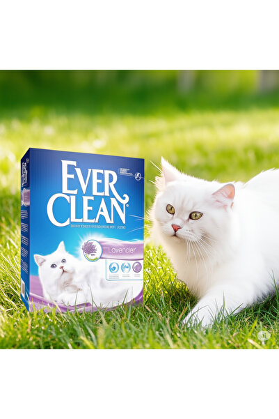 Ever Clean 10 Lt Topaklaşan Kedi Kumu / Premium Bentonit / Kokuyu Hapseder / Tozsuz