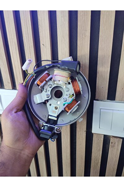 karagöz motor Pejo elektronik manyeto statör