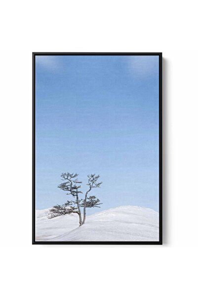 LOWHA Canvas Wall Art Stretched Over Wooden Frame with Black Floating Frame a...