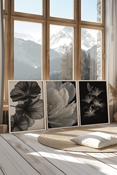 Postifull Beyaz Tablo Seti, 3 Adet Beyaz Çerçeveli Poster Soft Flowers Model No:300801, Duvar Dekoru