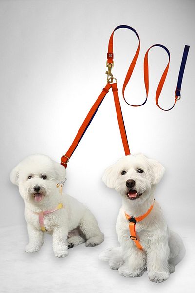 CARAMELOS Double Dog Walking Leash and Delivery Strap Set Adjustable