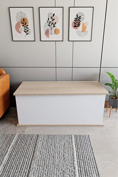 ECM Sandık Dekoratif Ahşap Lüks Sandık Çeyiz Sandığı Salon Antre Mobilyası Organizer Saklama Kutusu