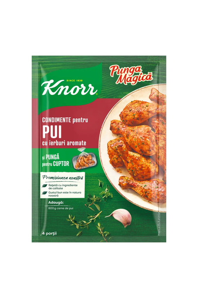 Knorr Knorr Magic Bag, chicken steak seasoning mix with herbs, 25g