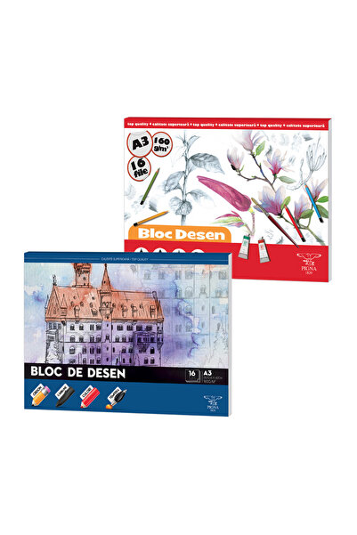 PIGNA Bloc desen A3 160g 16file