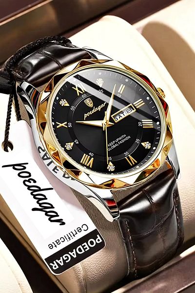 POEDAGAR 615L Classic Luxury Design Men's Wrist Watch