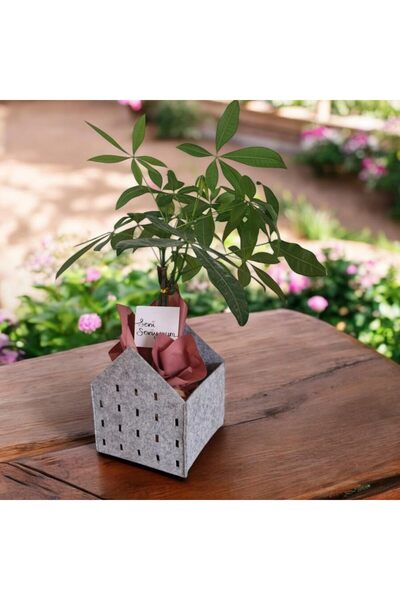 AC BOX Decorative Felt Flower Pot and Organizer Basket – Gray, 20X20X25 Cm, 3 mm Thickness Multi-Purpose Felt