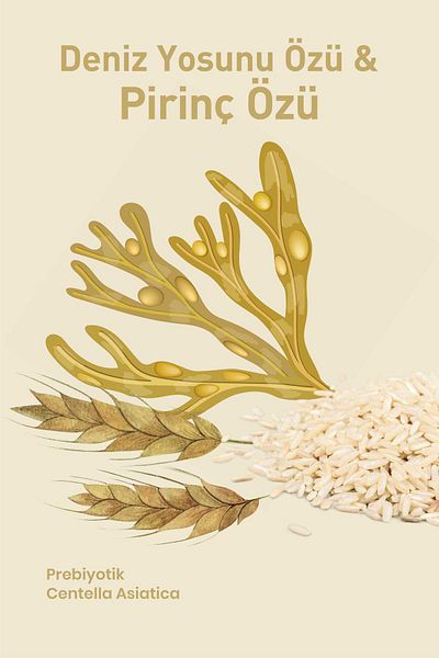 TTO Thermal Clay Mask Seaweed Extract & Rice Extract