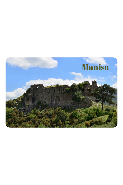 Vera Buzdolabı Magneti - Manisa Magneti