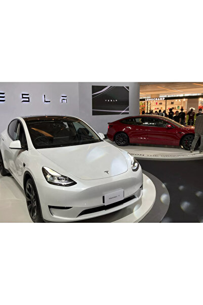 fly3d Tesla Ön Arma Kaput Logo