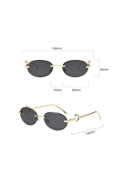 REDz Accessories Fashion Sunglasses, Oval Design, Thin Metal Frames, Decorative Side Accents, Brown