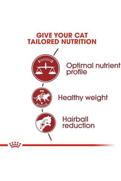 Royal Canin Fit 32 Fit Dry Food for Large, Highly Active Cats 10kg